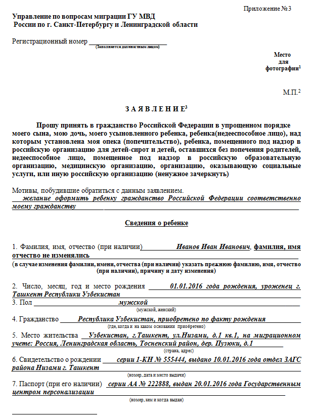 Описание процесса получения гражданства